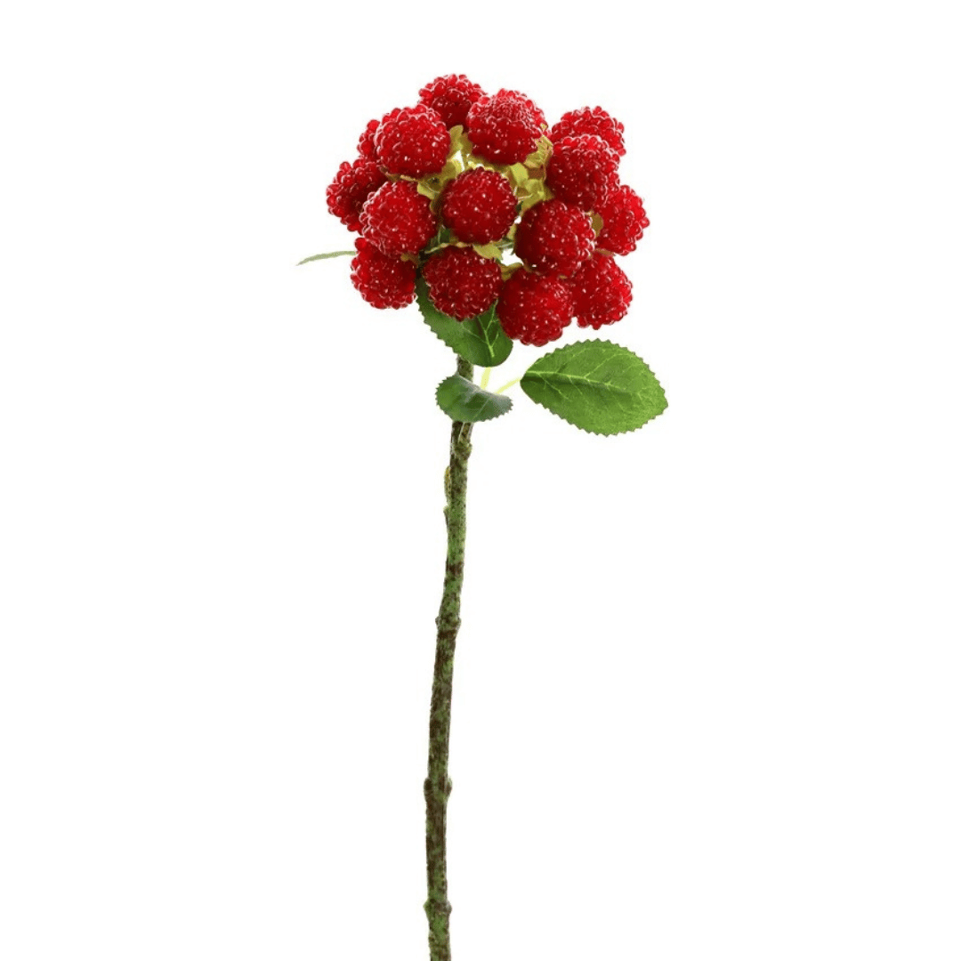 Bouquet de Fausses Framboises Rouges