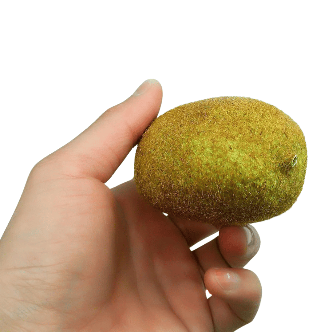 Faux Kiwi Réaliste à Poils Courts