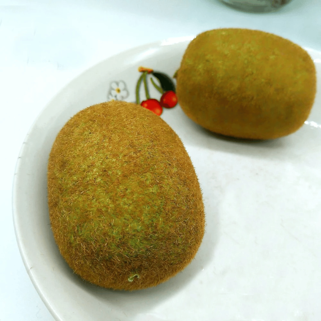 Faux Kiwi Réaliste à Poils Courts