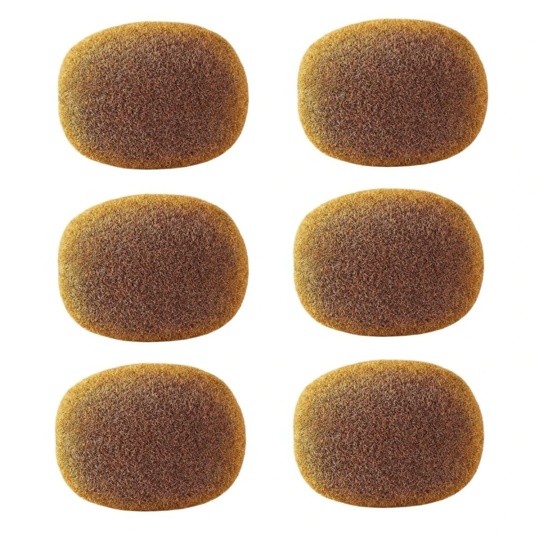 Faux Kiwis Réalistes