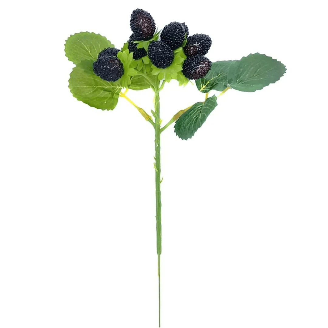 Tige de Fausses Framboises Noires