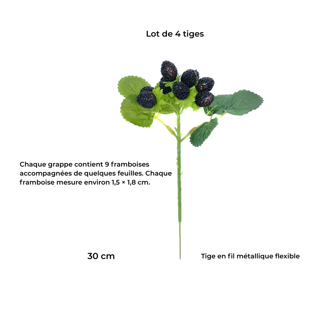 Tige de Fausses Framboises Noires