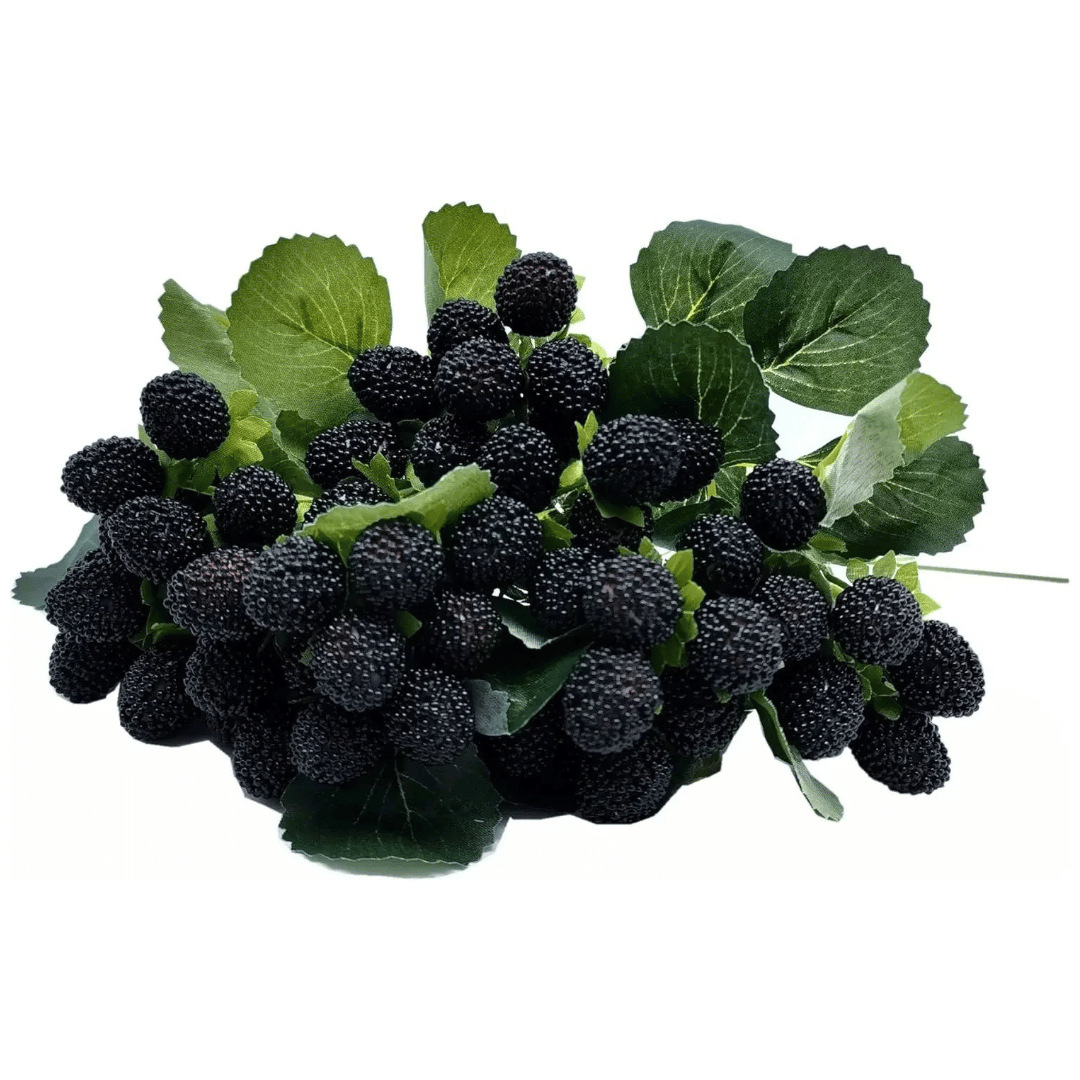 Tige de Fausses Framboises Noires